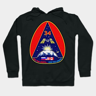 Black Panther Art - NASA Space Badge 160 Hoodie